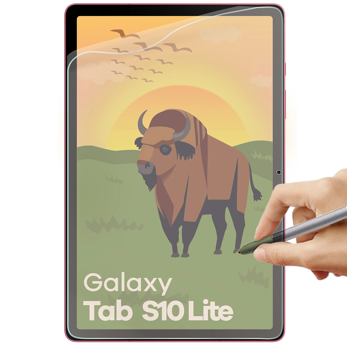 Folia matowa na ekran Bizon Tab Film Sun do Galaxy Tab S10 Lite, 1 sztuka